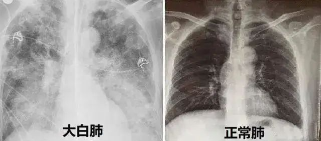 微信图片_20240322115145.png
