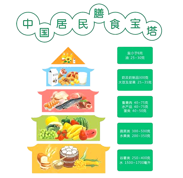 饮食.png