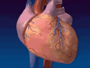 640 (23).gif 640 (23).gif