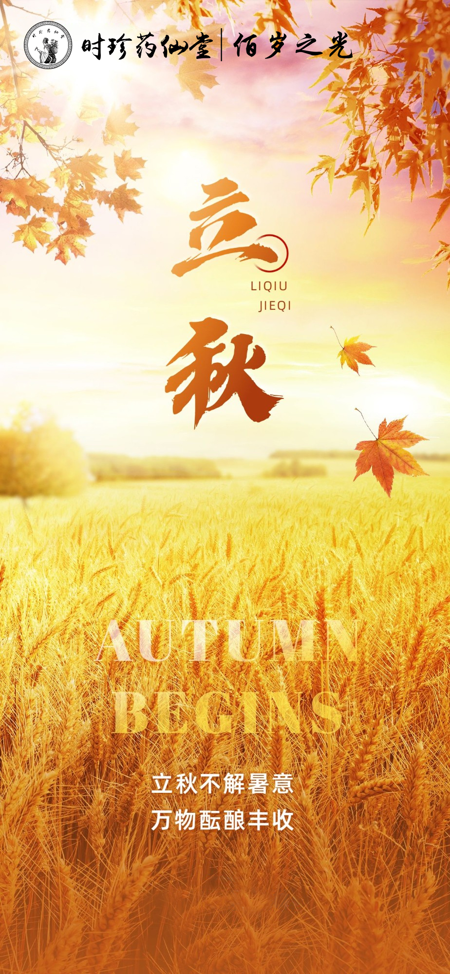 立秋.jpg